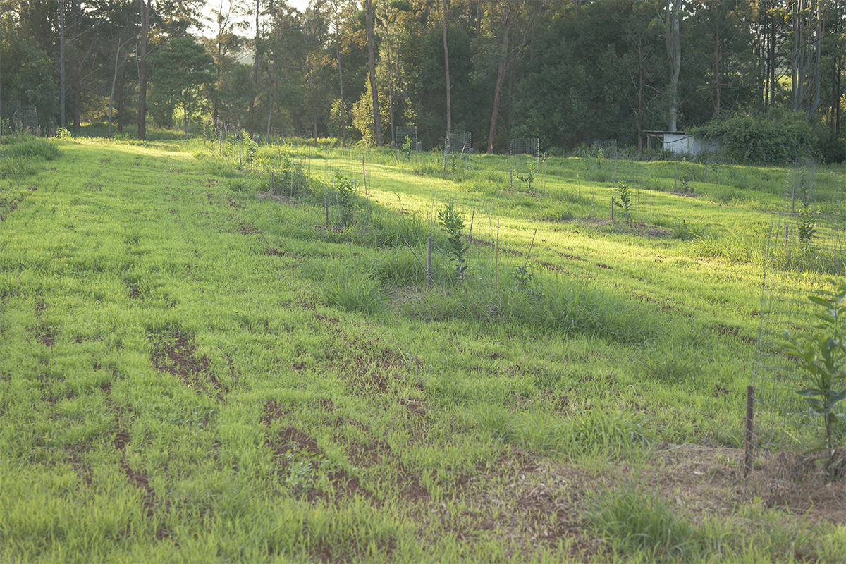 IMG_2423 as Smart Object-1.jpg