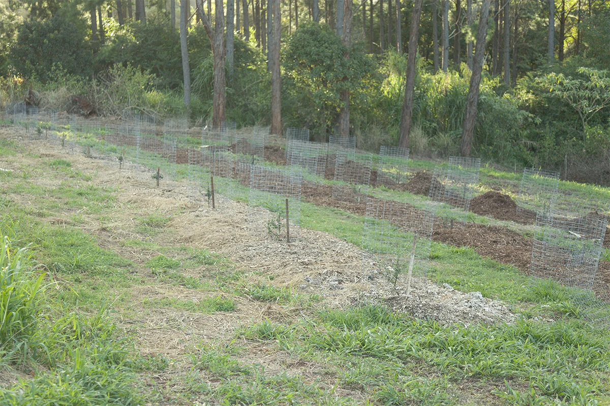 IMG_2430 as Smart Object-1.jpg