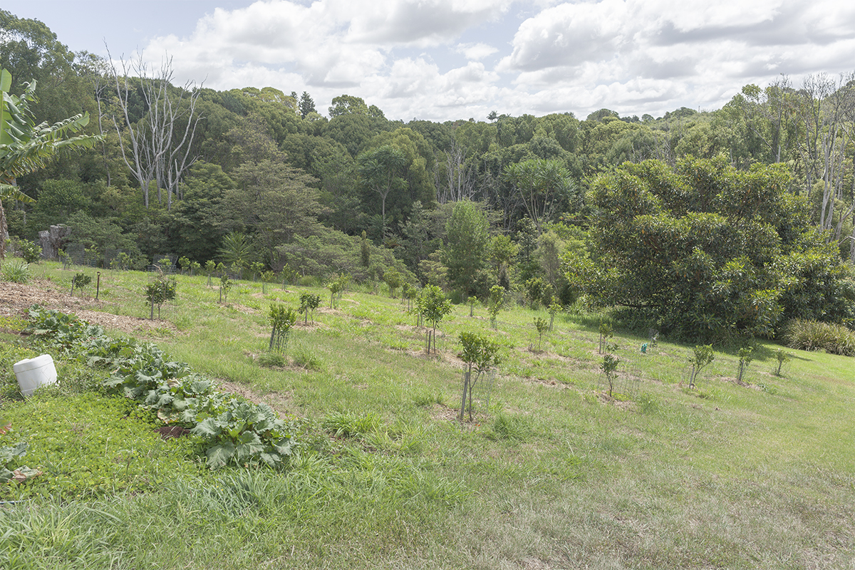 IMG_6679 as Smart Object-1.jpg