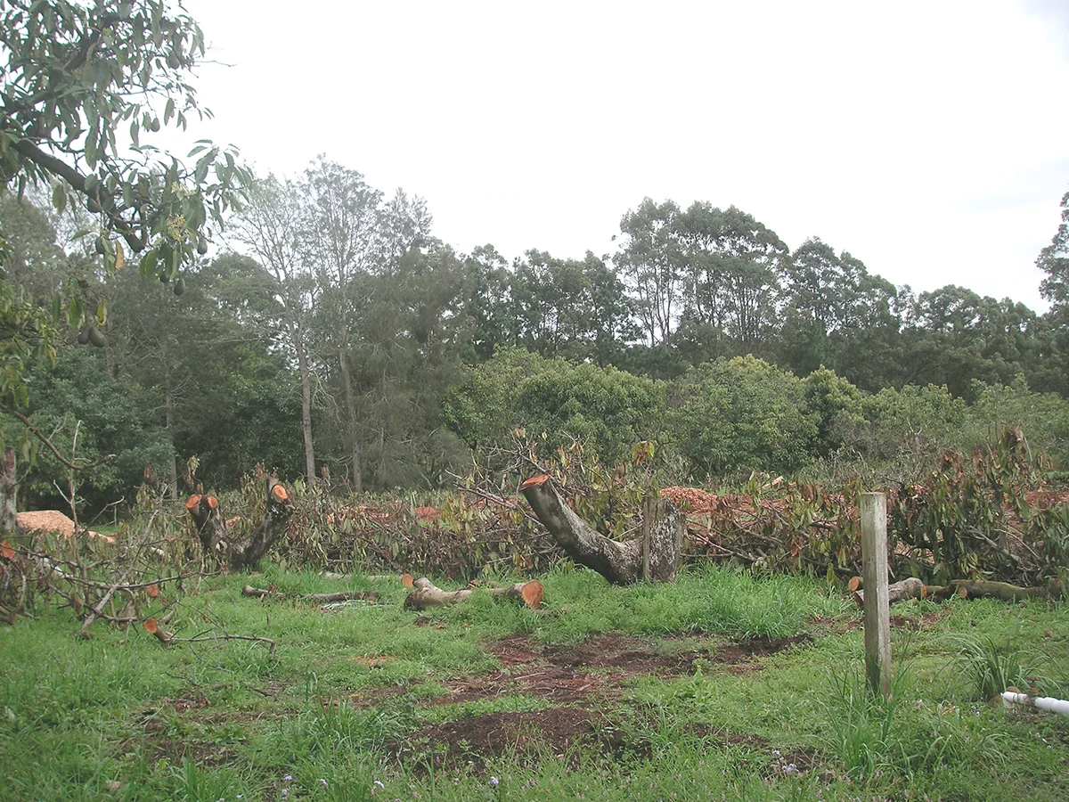 PICT0683.jpg