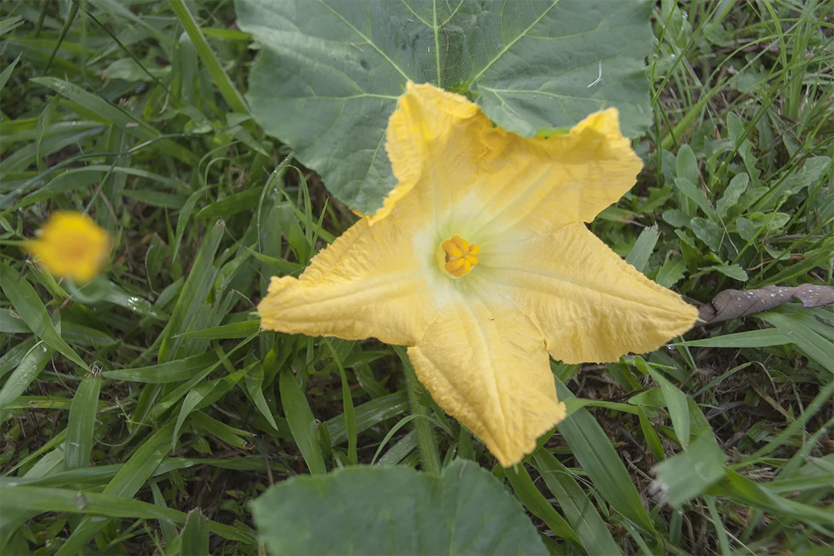 IMG_6751 as Smart Object-1.jpg