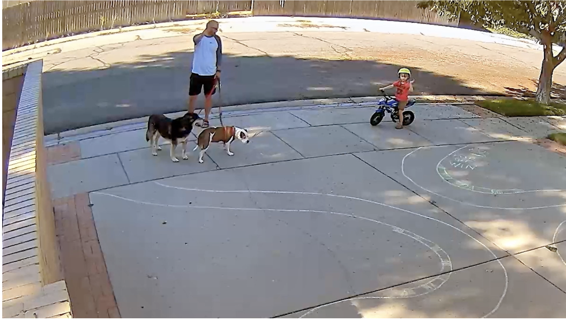 Screen Shot 2022-09-07 at 8.41.11 PM.png