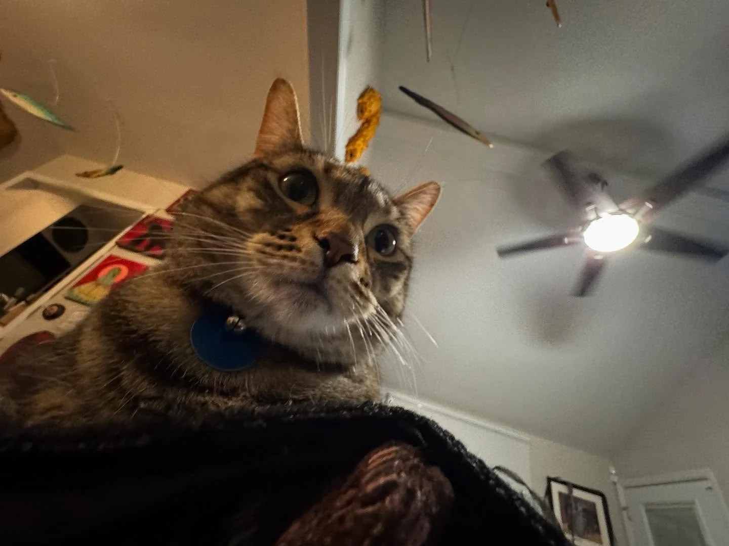 Yall. I can&rsquo;t thank Columbus enough for showing up for the @columbusartsfest this weekend. You wore me OUT in the best way. So many friends, so much good art. Hera is grateful I&rsquo;m home again ❤️ special shoutout to my mom, @thelabpartners 