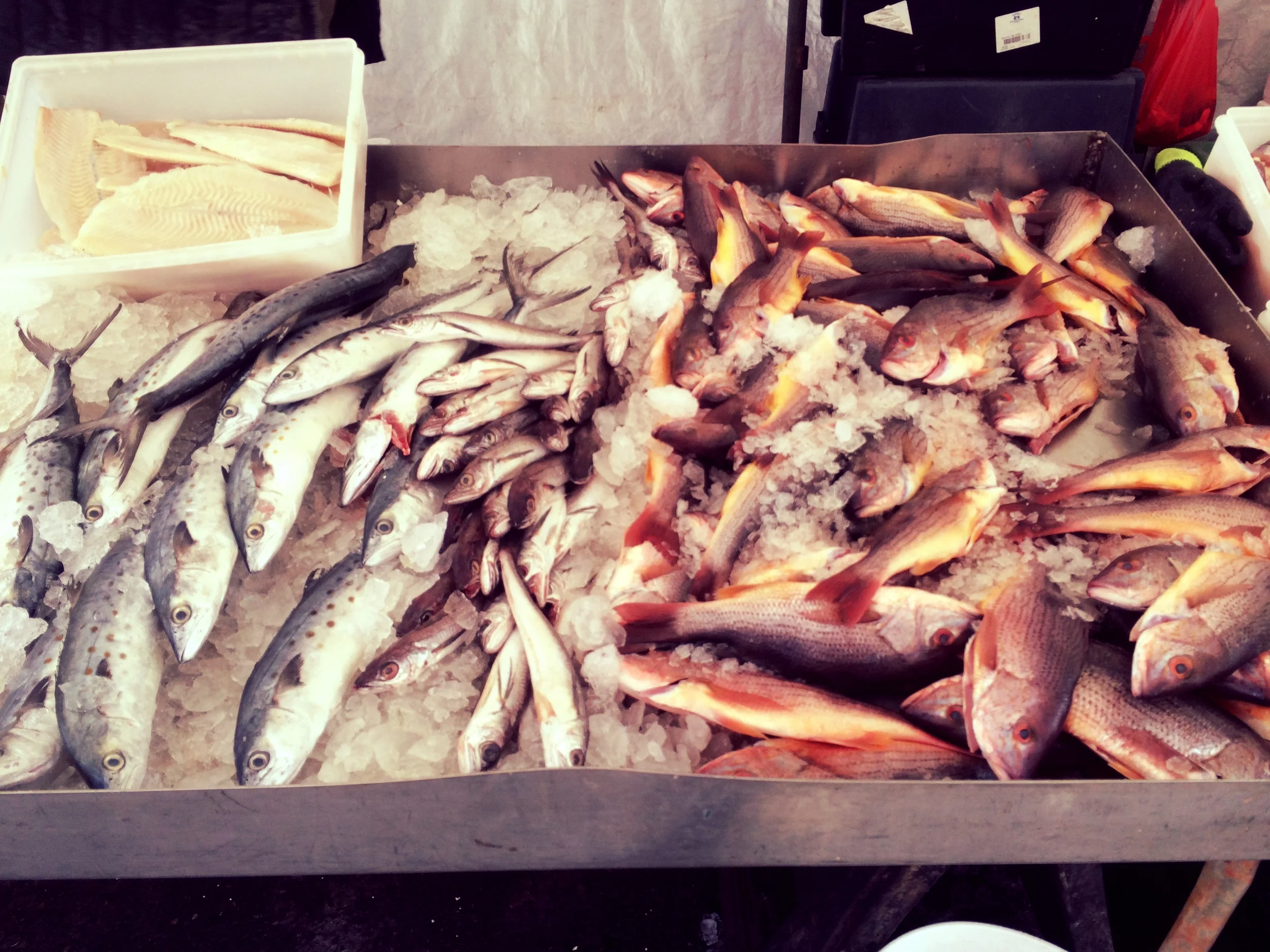 Photo 01-02-14 02 34 11 p.m..jpg