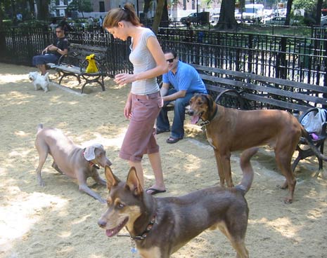 There is ample seating for humans and tennis balls provided for your dogs