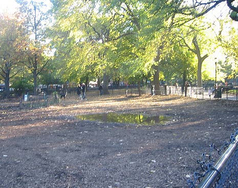 Puddles and muddy conditions in the run before the renovation