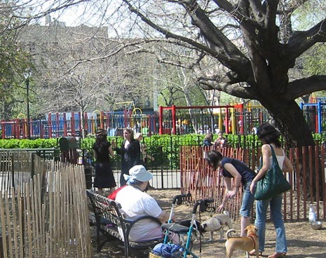 Folks enter our temporary small dog area