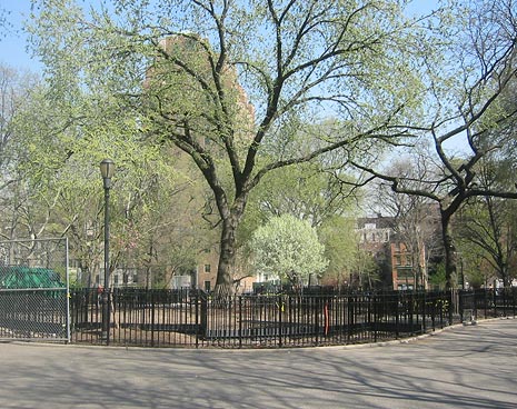 Southern view of the dog park