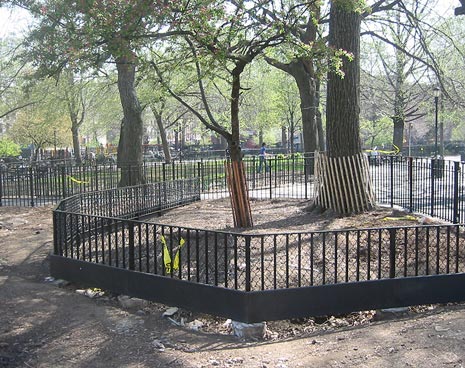 The tree areas have been fitted with a low fence which will remain open to dogs