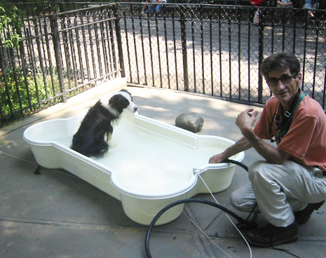 There are 3 swimming pools for the dogs to make a splash or jump in for a quick cool off.