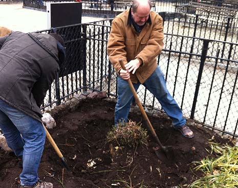 Dallas (Rascal) and Rick (Nimbus) begin removing the old stumps.