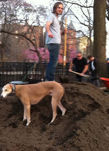Charlie (Benjamin) and Nimbus prepare to move 2 truck loads of new dirt into the gardens