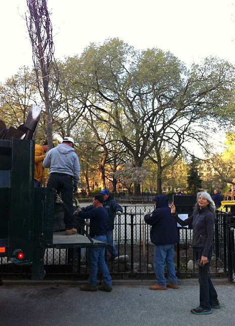 Deb Holz, Tompkins' gardner, accepts the delivery of our new trees