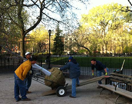 Deb Holz, Tompkins' gardner, accepts the delivery of our new trees