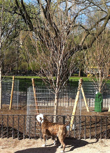Bullet says "Grow For Me!" 