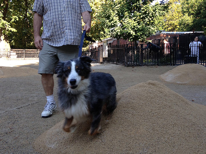 Rascal arrives for an inspection