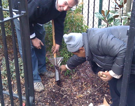 Cathy and Garrett planting bulbs -- 800 more to go