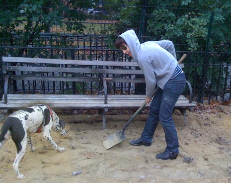 Filling in holes beneath the park benches