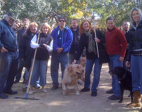 The gang in the large dog run 