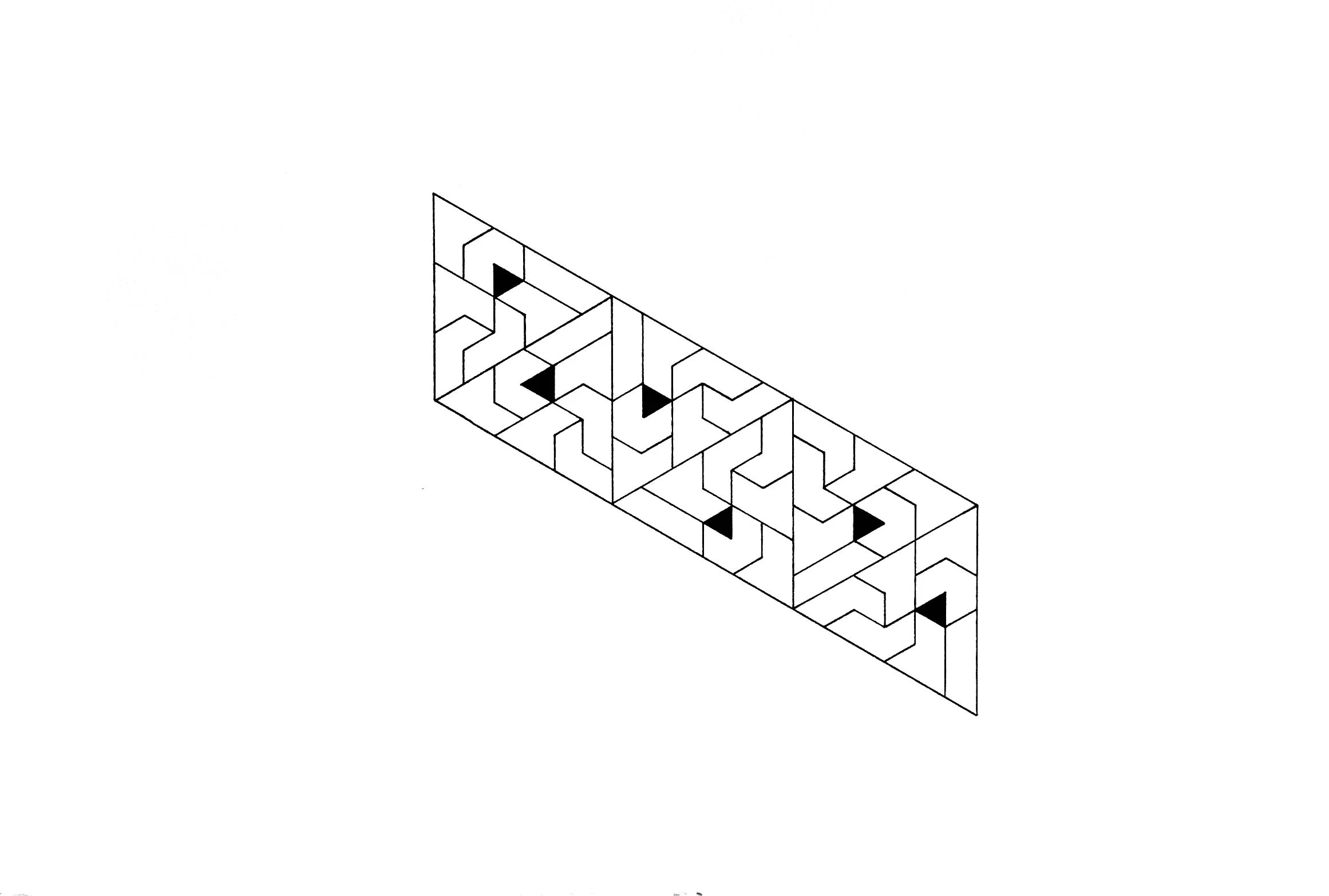 PentaEqui #8