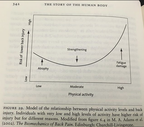 From the book, The Story of the Human Body, Daniel Lieberman