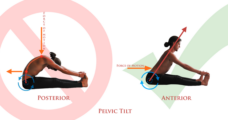 Image courtesy of up4yoga.com