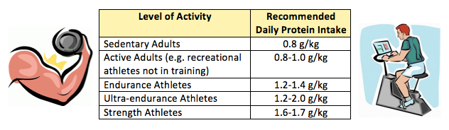 Activity level. Protein Daily. Daily Protein amount. Dietary reference Intake. Protein Intake Norm.