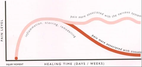 Credit: Explain Pain (Butler & Mosely)