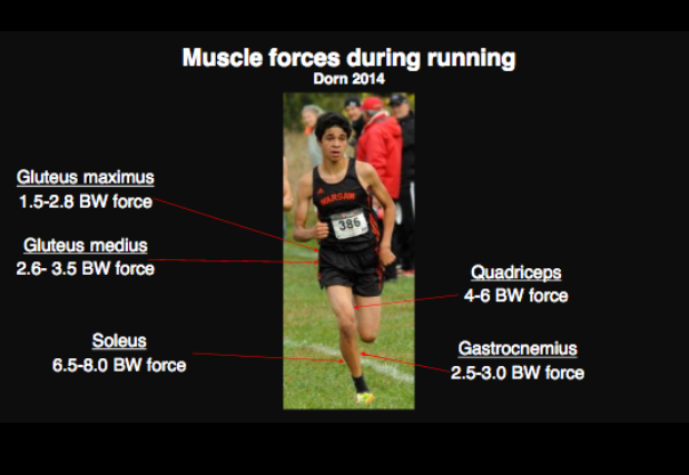 Photo Credit: Rich Wily Running Symposium La Trobe 2018