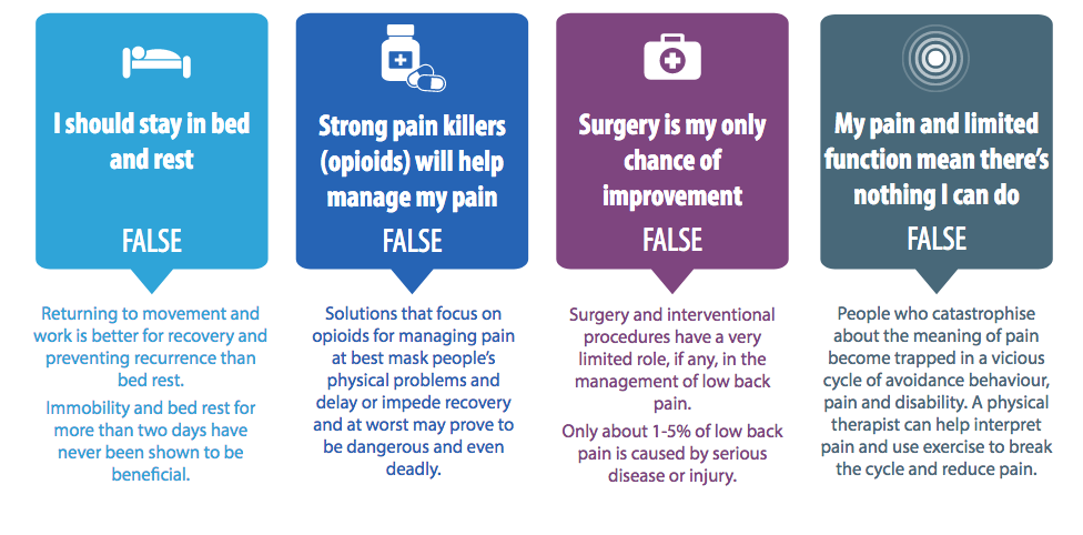 Chronic Pain - The Myths — Kinfolk Physiotherapy & Wellness