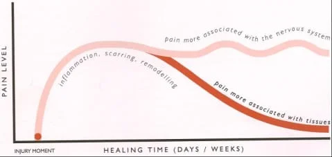 Maybe the most important picture to understand if you’ve had pain lasting more than six months. Pain that lasts more than six months is generally related to an overly sensitive nervous system rather than a specific issue in the tissues (Picture credit: Explain Pain - Butler & Mosely)
