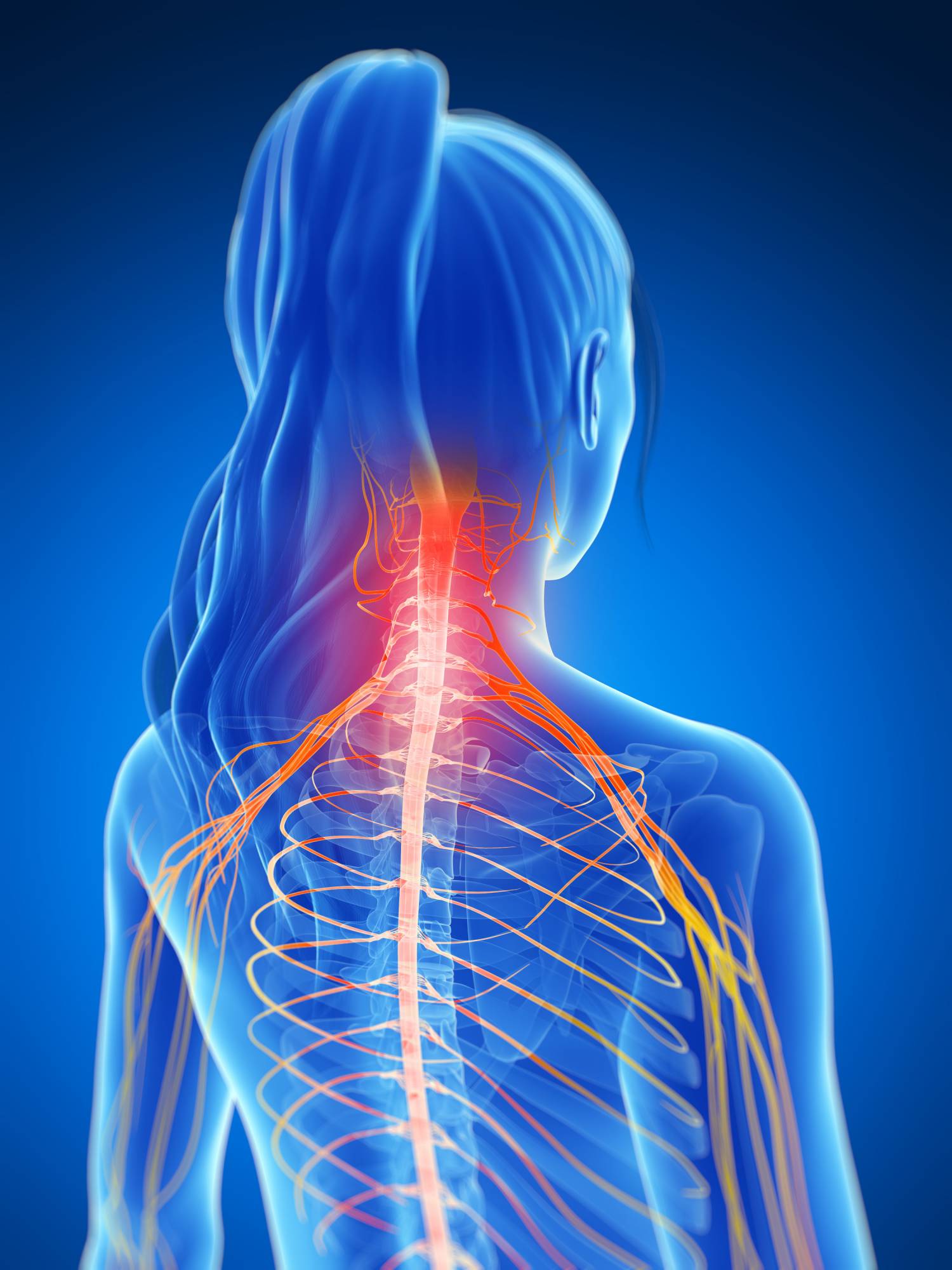 Back, Shoulder, & Neck Pain Relief