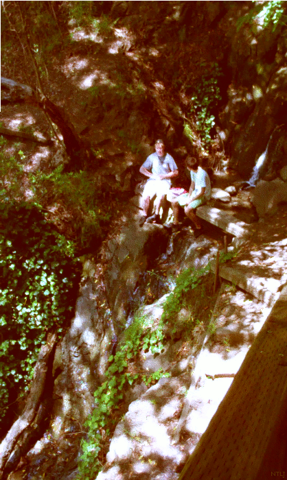 The Hidden Waterfall, Berkeley