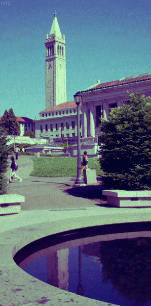 Memorial Pool, UC Berkeley