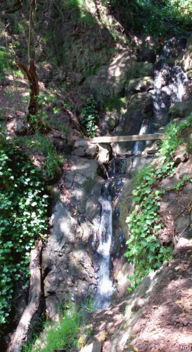 Bench and Waterfall, Berkeley