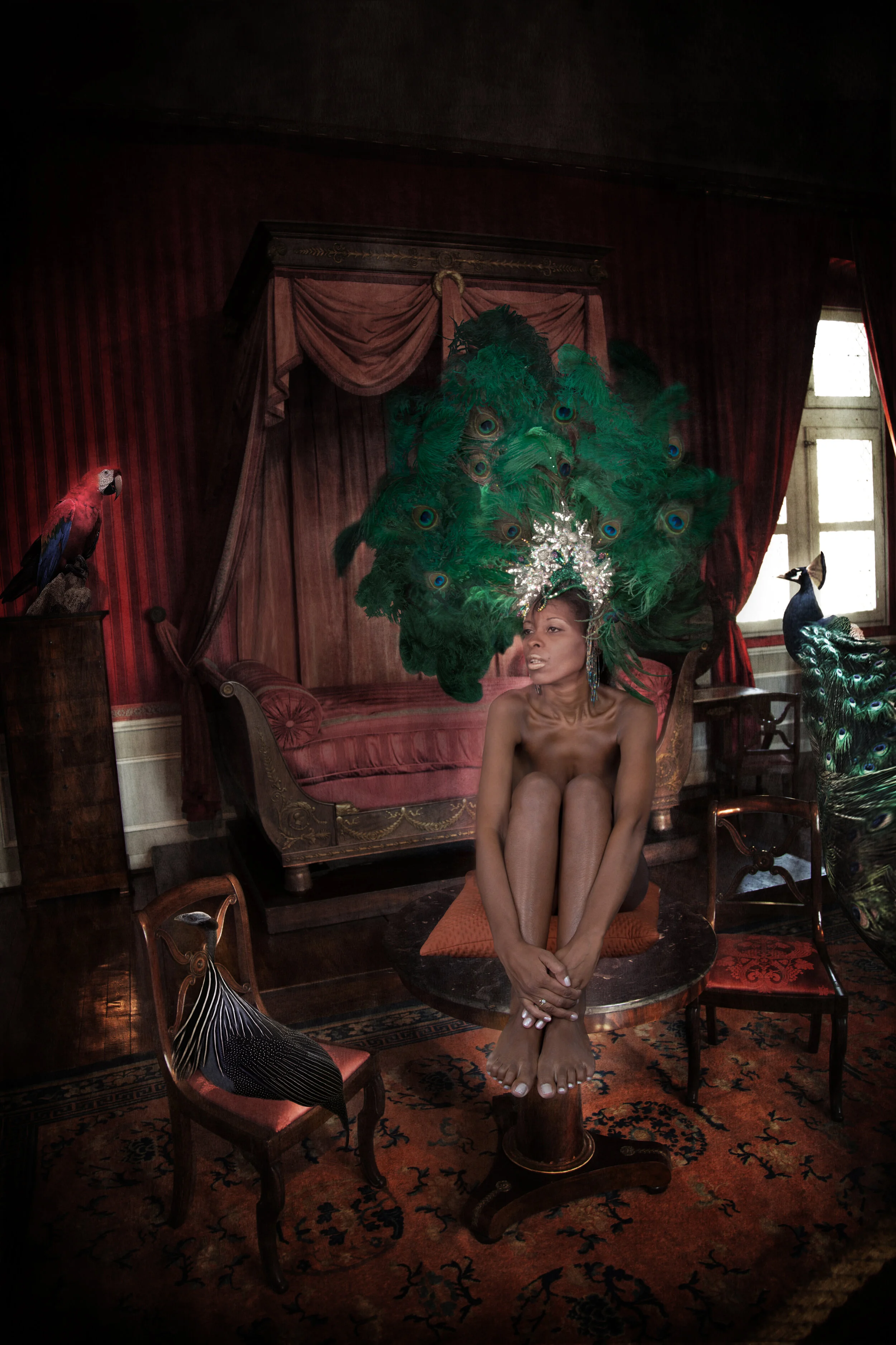 “Queen Bird”- Chateau Royal D’Amboise - Loire Valle, France.