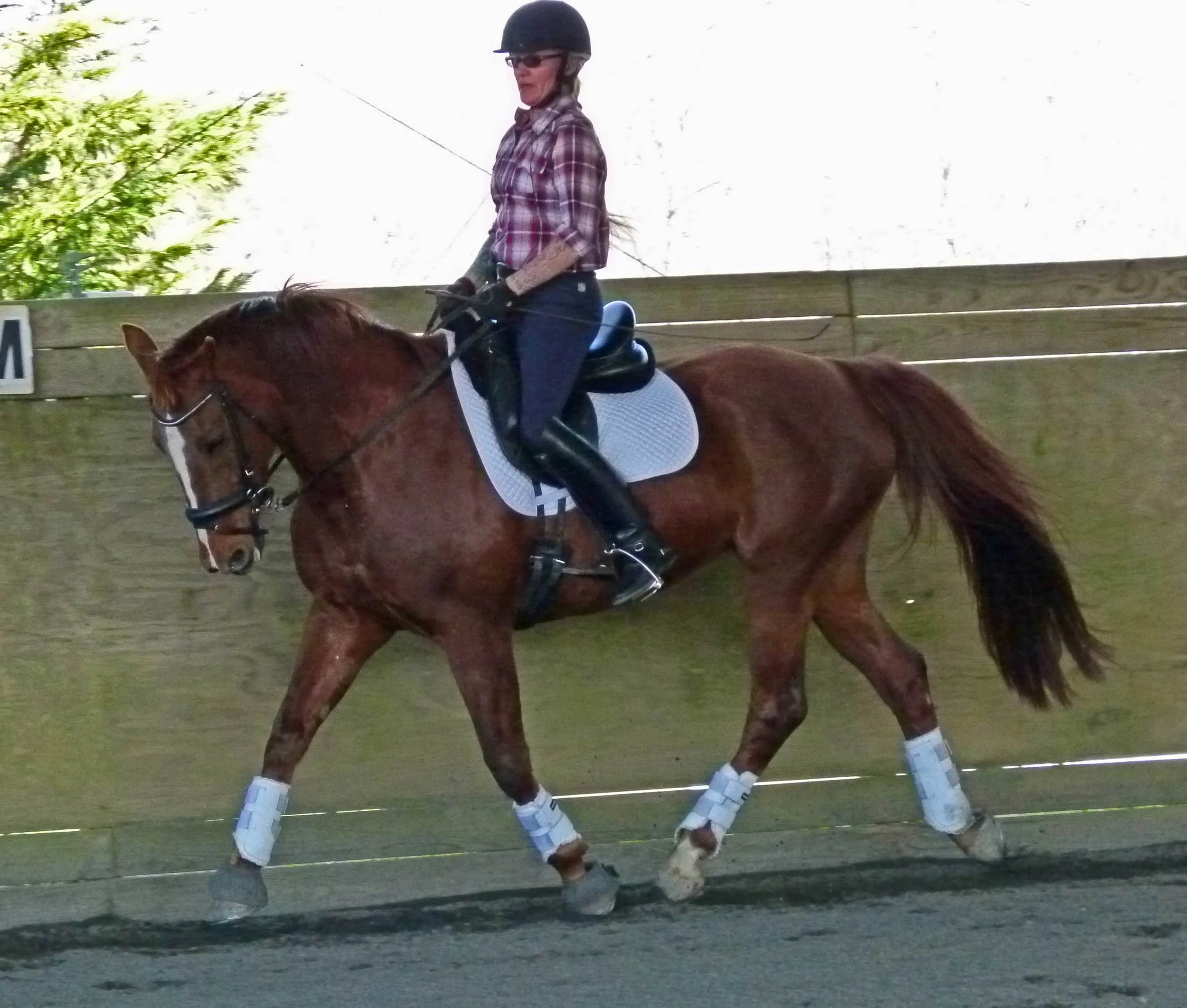 Kristin Lamberson and Tori