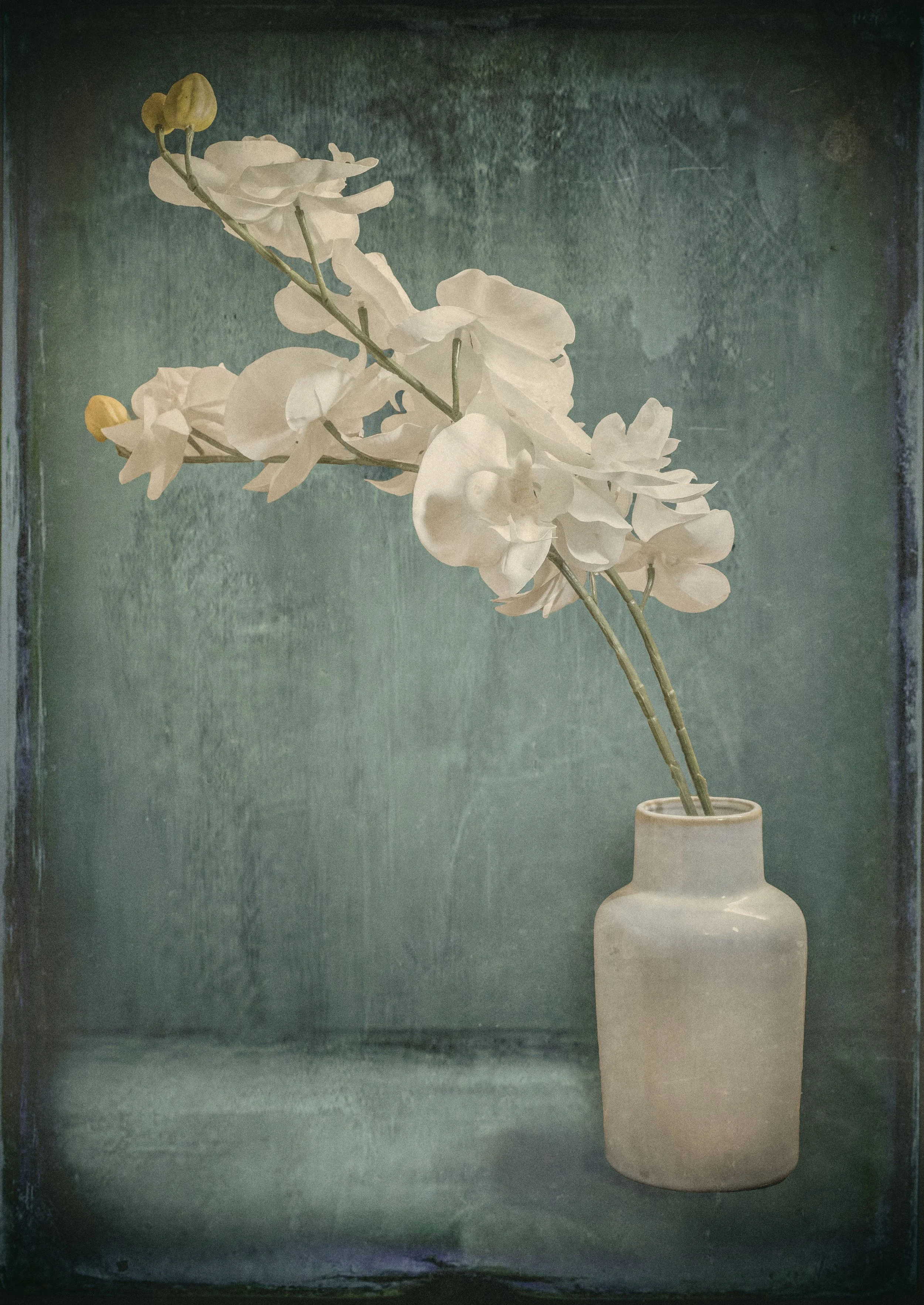 _DSF0167-Edit-Edit-Edit.jpg