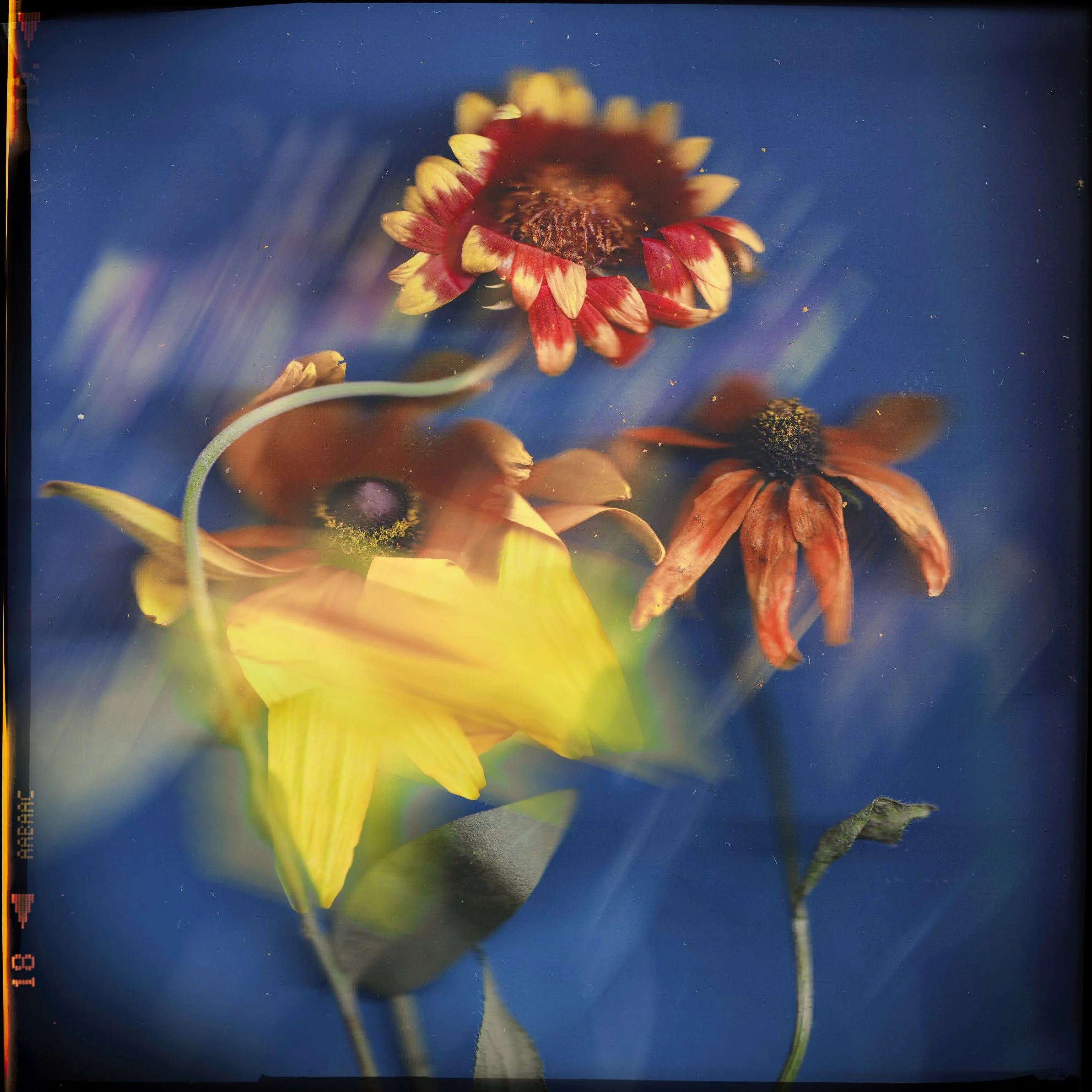 3Scan2-Edit-2.jpg
