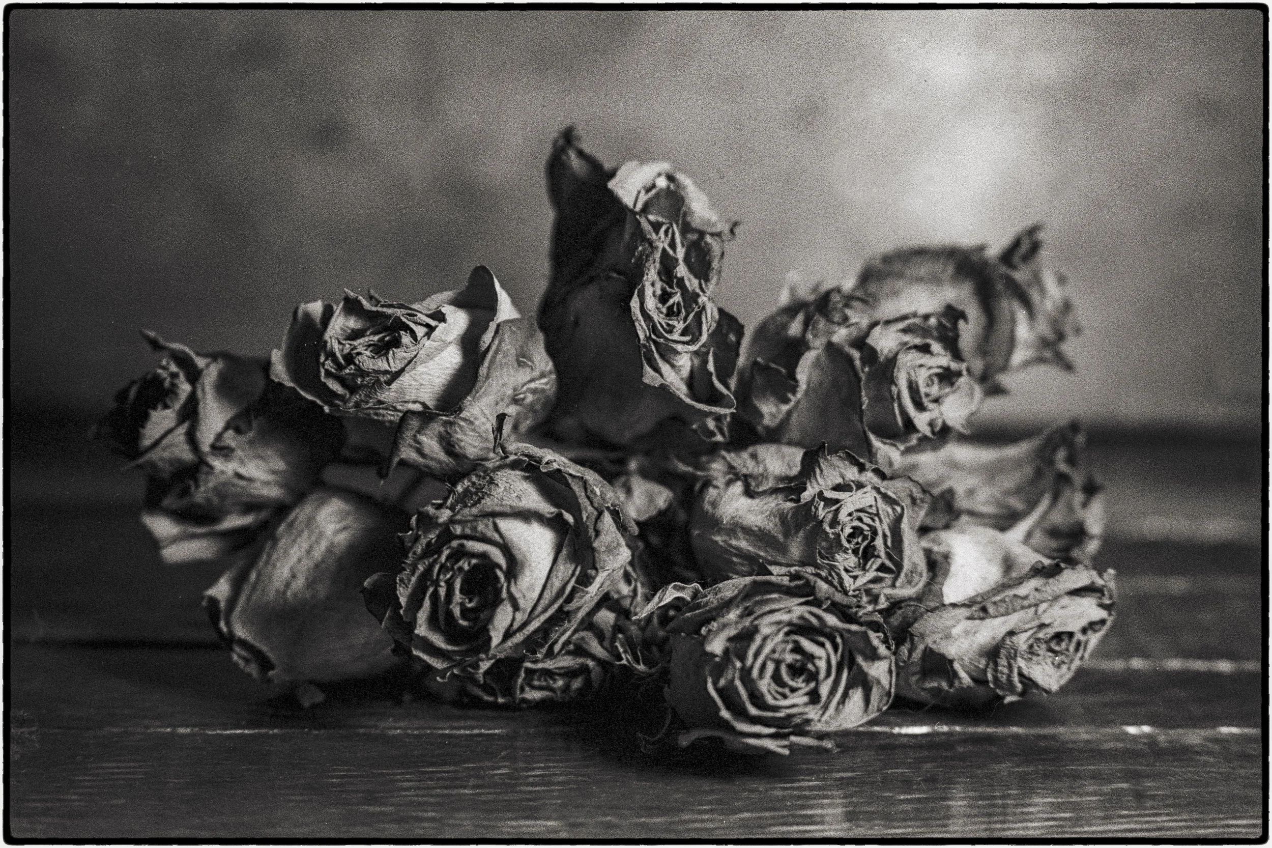 bw-neg06.jpg