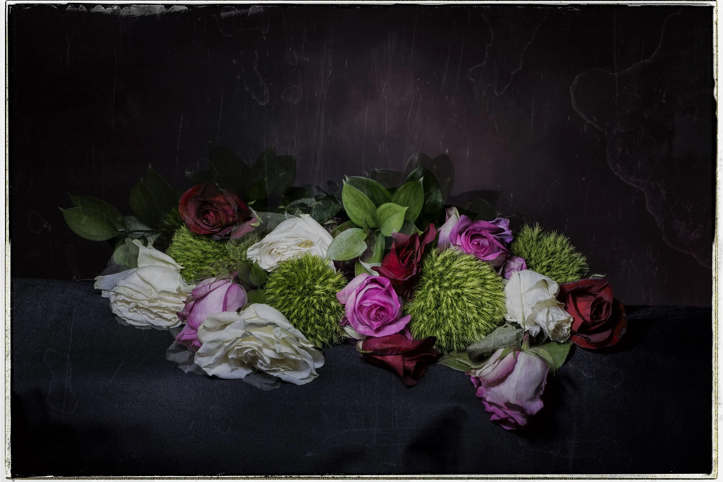 Roses & Dianthus; Last Light.jpg
