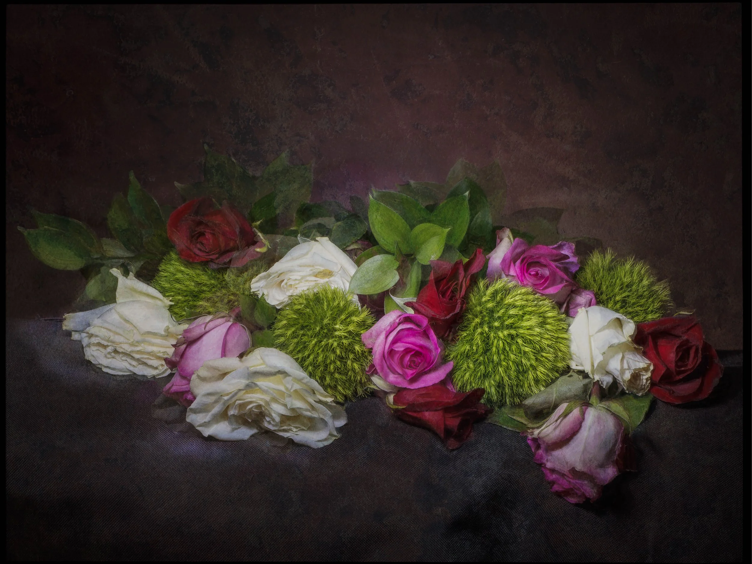 Roses and Dianthus