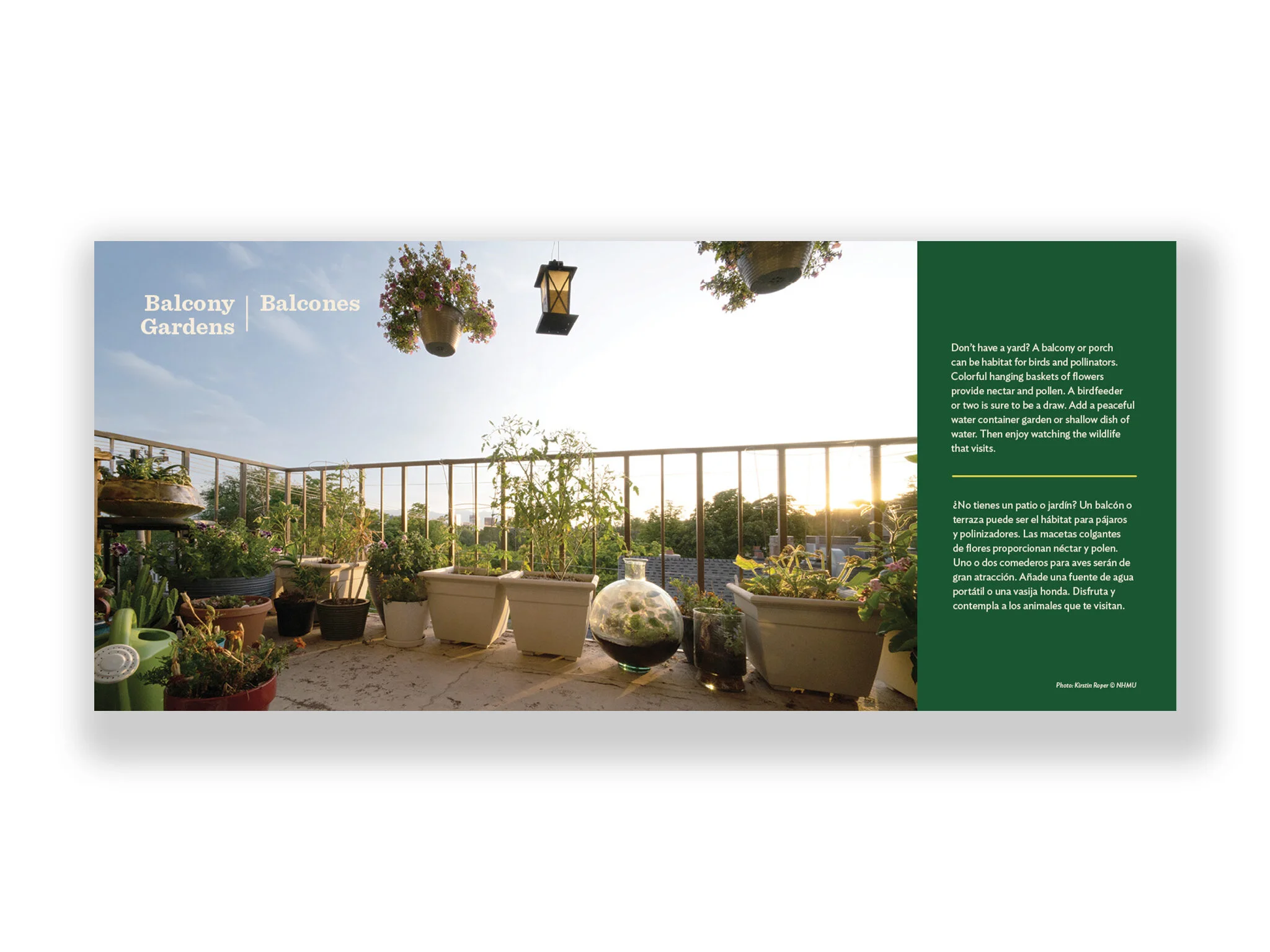 Interior of Wildlife-friendly Garden flipbook. I art directed the shot and did the post-production work on the image.