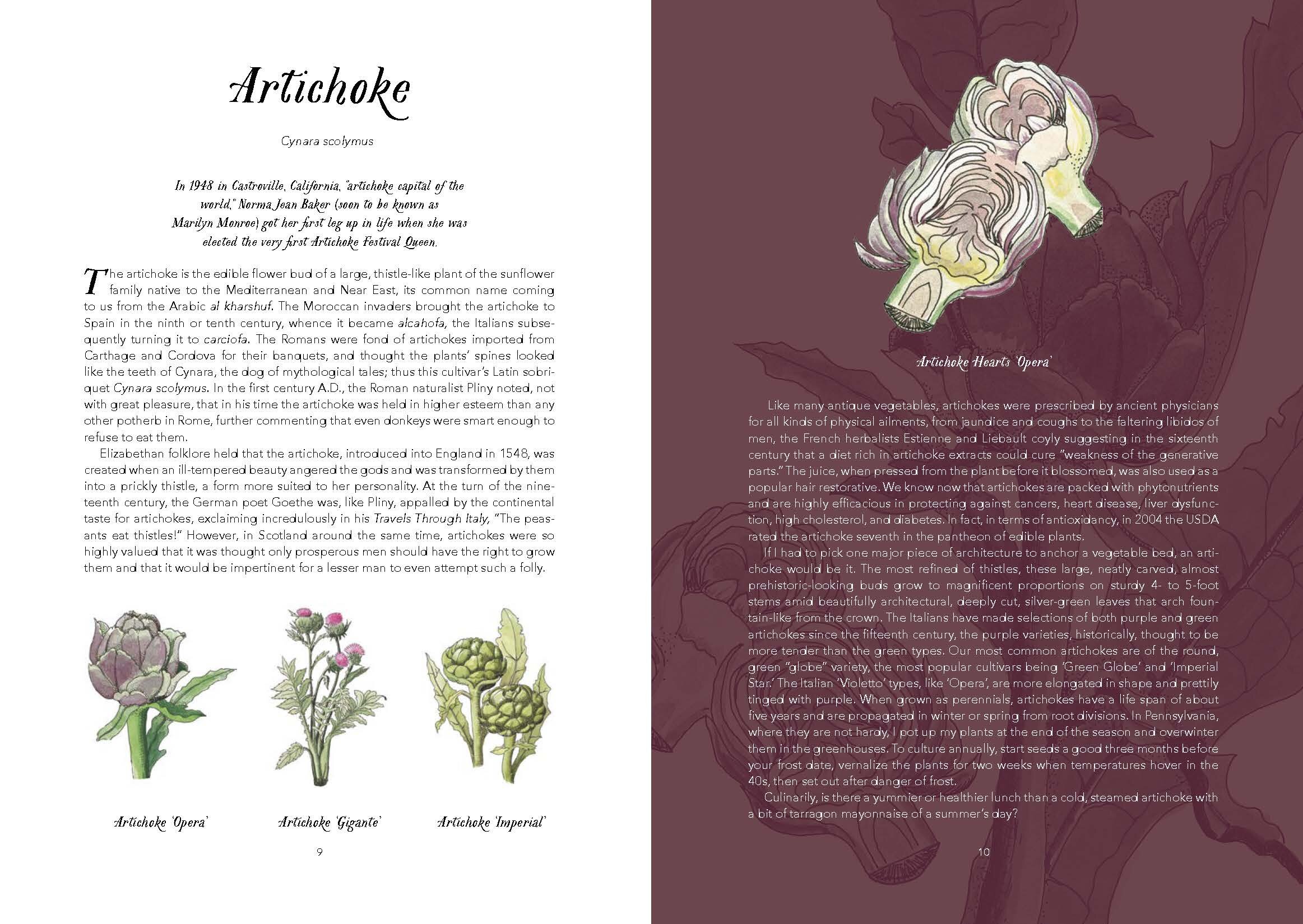 Illustrated-Edible-Plants-EBlad_Page_4.jpg