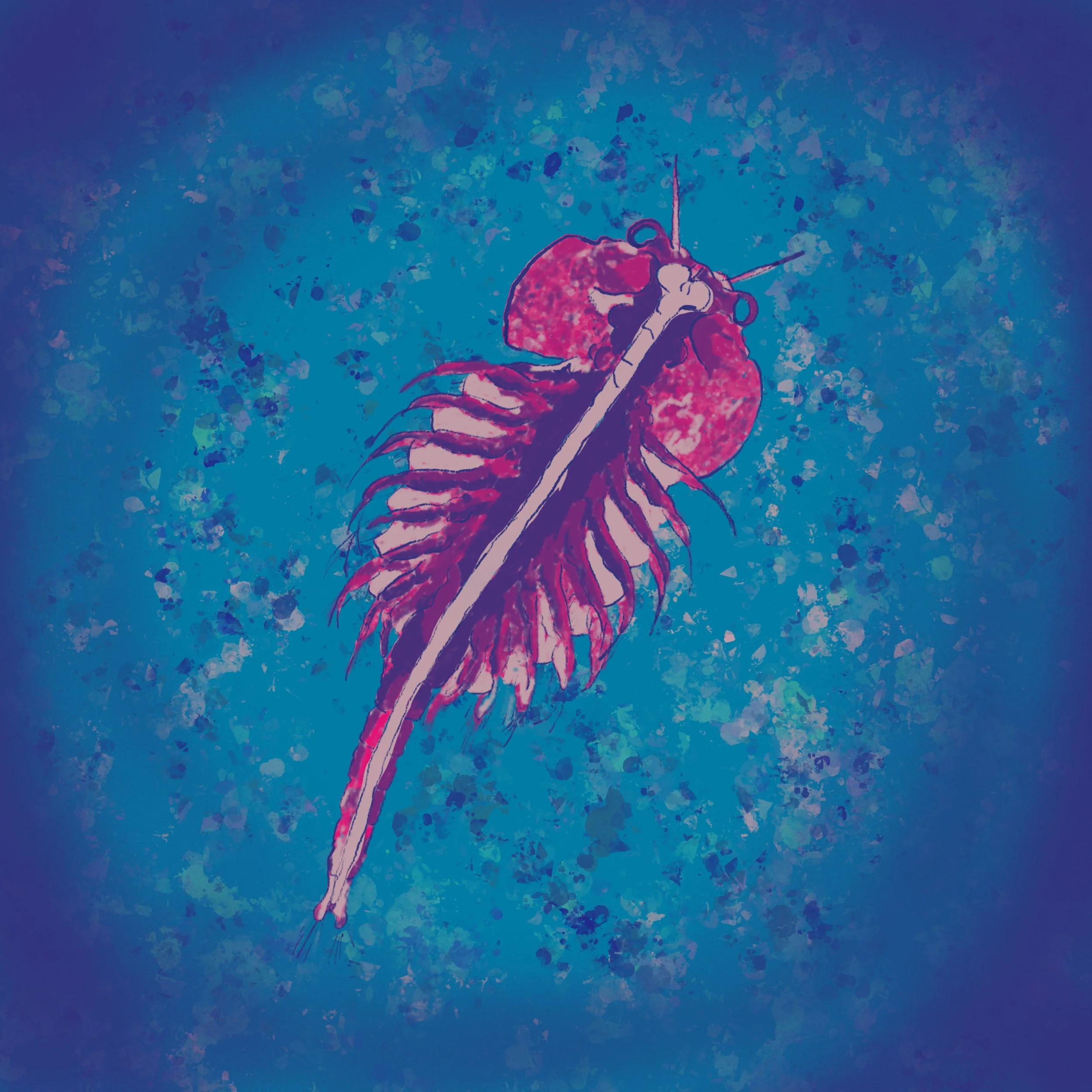 Brine_Shrimp.jpg