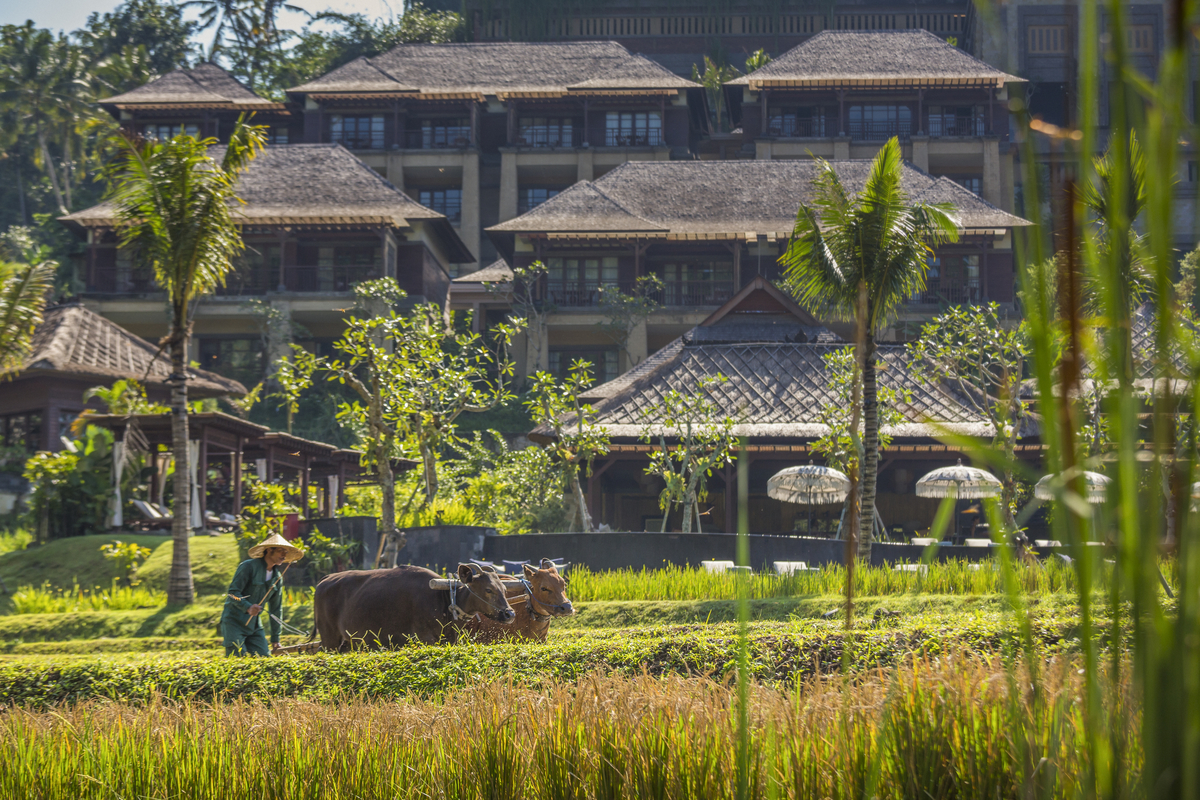 Ritz Carlton_Rice Paddy-9400.jpg