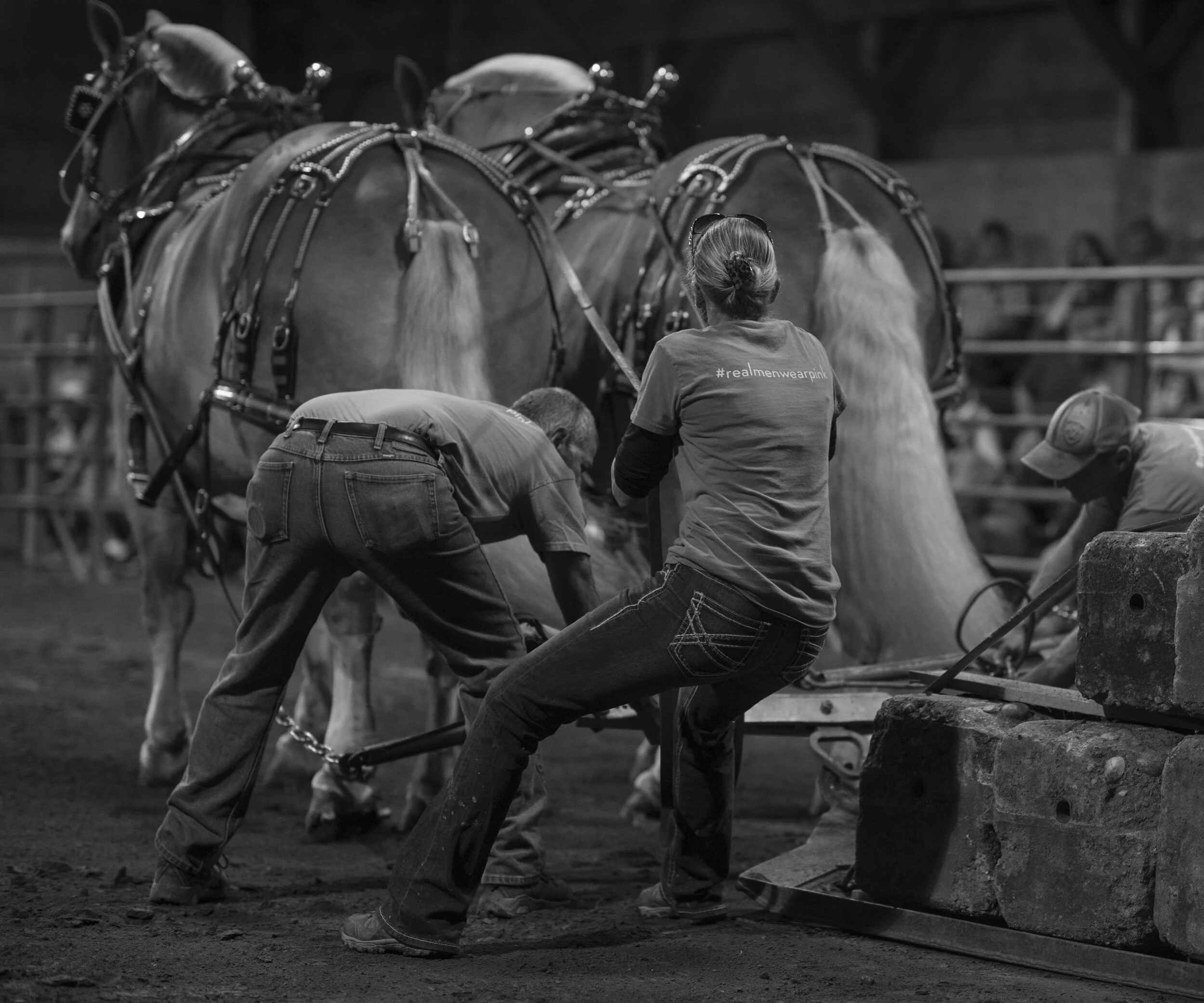 The horse pull.jpg