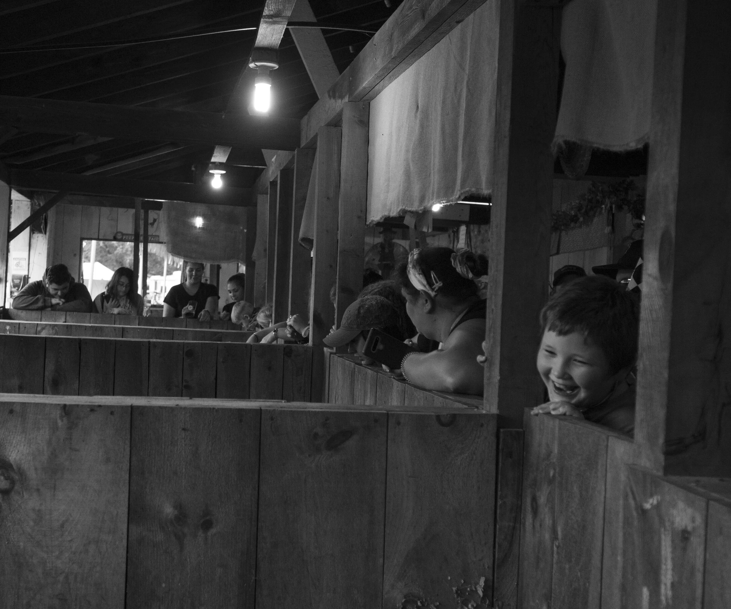 Watching the pigs.jpg