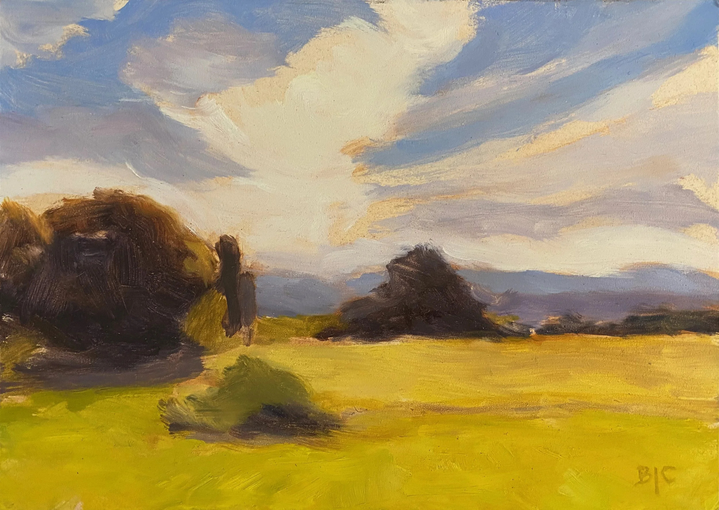  Sheep Pasture Scotland, Oil on panel, 5 × 7” SOLD 