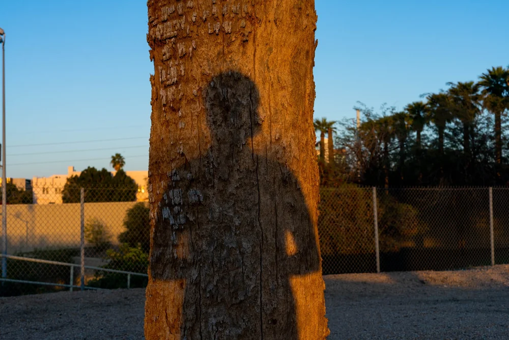 Environmental portrait of Annette Matthews
